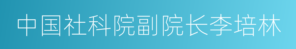 中国社科院副院长李培林的同义词