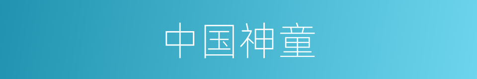 中国神童的同义词