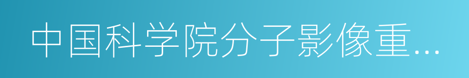 中国科学院分子影像重点实验室的同义词