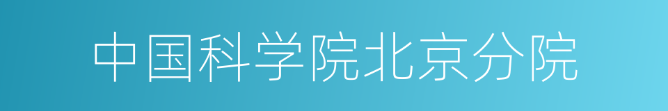 中国科学院北京分院的同义词