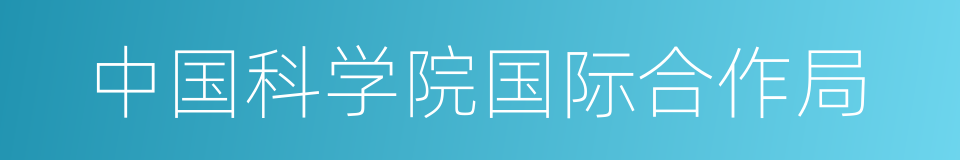 中国科学院国际合作局的同义词