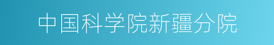 中国科学院新疆分院的同义词