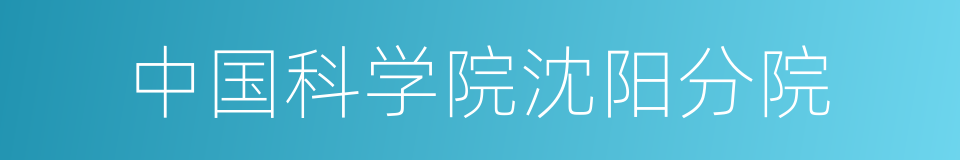 中国科学院沈阳分院的同义词