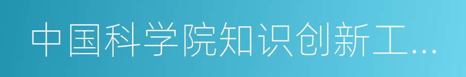 中国科学院知识创新工程重要方向项目的同义词