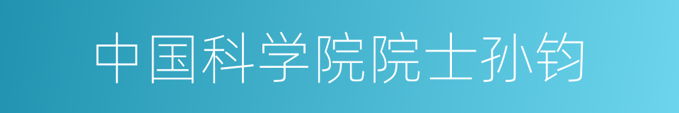 中国科学院院士孙钧的同义词