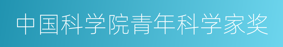 中国科学院青年科学家奖的同义词