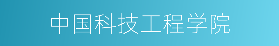 中国科技工程学院的同义词