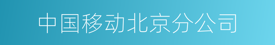 中国移动北京分公司的同义词