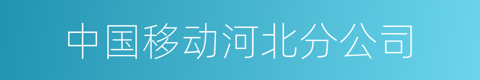 中国移动河北分公司的同义词