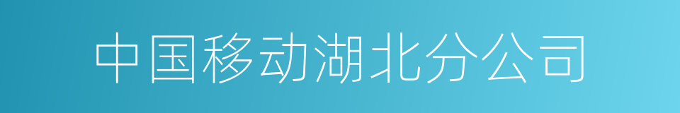 中国移动湖北分公司的同义词