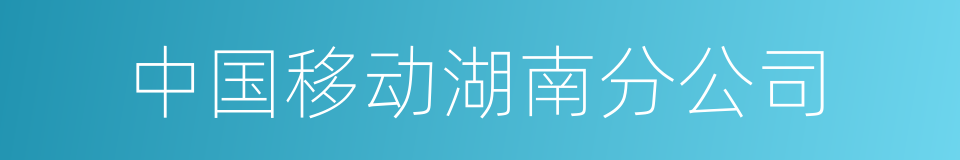 中国移动湖南分公司的同义词