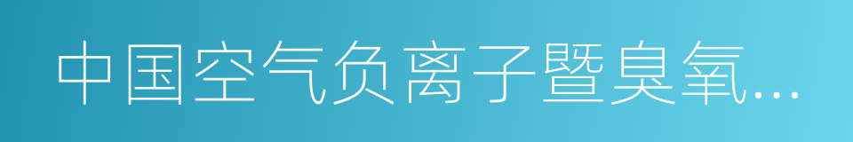 中国空气负离子暨臭氧研究学会的同义词