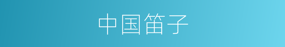 中国笛子的同义词