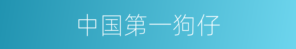 中国第一狗仔的同义词