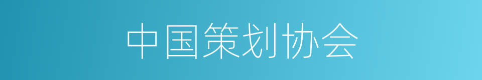 中国策划协会的同义词