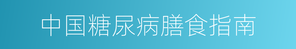 中国糖尿病膳食指南的同义词