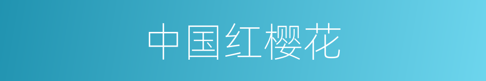 中国红樱花的同义词