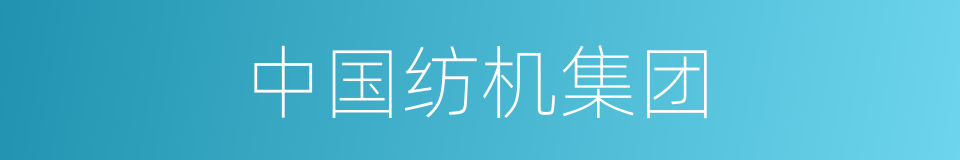 中国纺机集团的同义词
