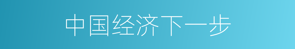 中国经济下一步的同义词