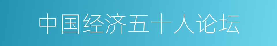 中国经济五十人论坛的同义词