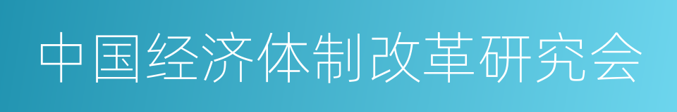 中国经济体制改革研究会的同义词