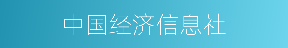 中国经济信息社的同义词
