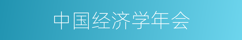 中国经济学年会的同义词