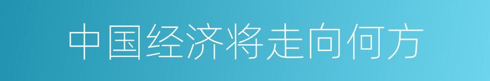 中国经济将走向何方的同义词