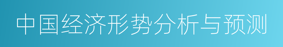 中国经济形势分析与预测的同义词