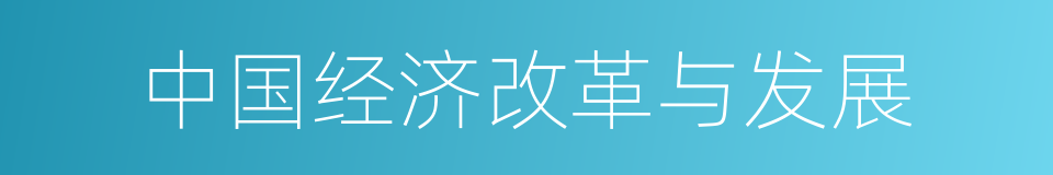 中国经济改革与发展的同义词