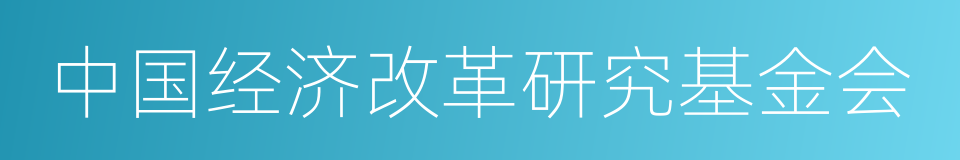 中国经济改革研究基金会的同义词