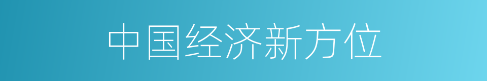 中国经济新方位的同义词