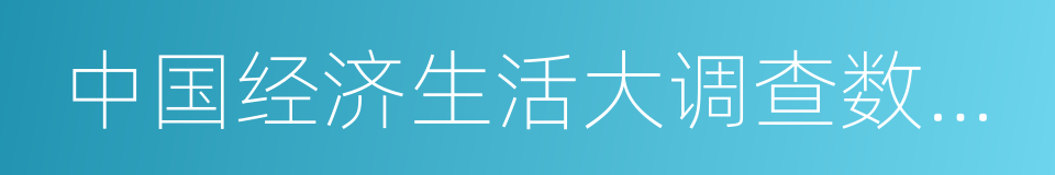 中国经济生活大调查数据发布之夜的同义词