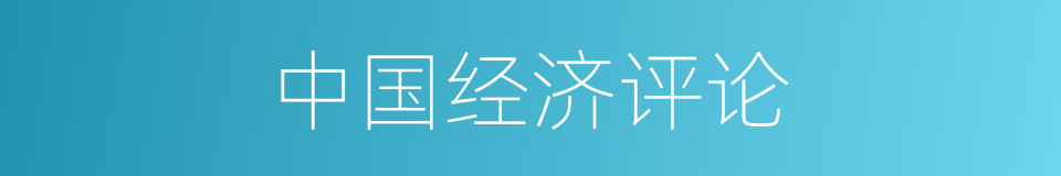 中国经济评论的同义词