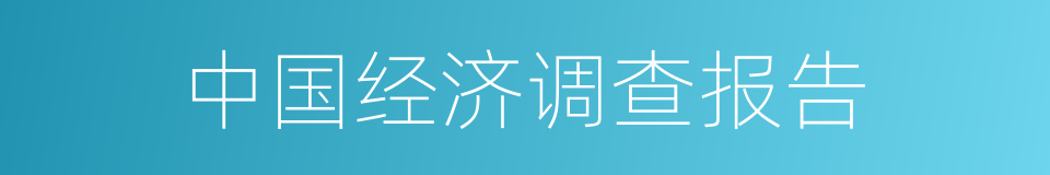 中国经济调查报告的同义词