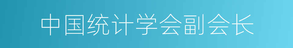 中国统计学会副会长的同义词