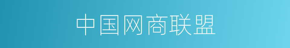中国网商联盟的同义词