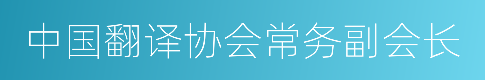 中国翻译协会常务副会长的同义词