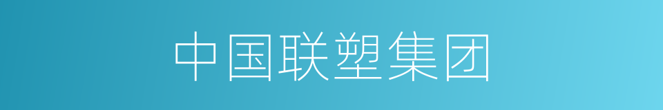 中国联塑集团的同义词