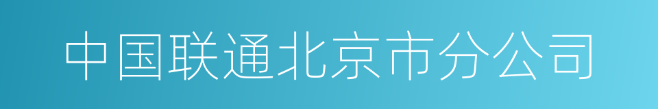中国联通北京市分公司的同义词