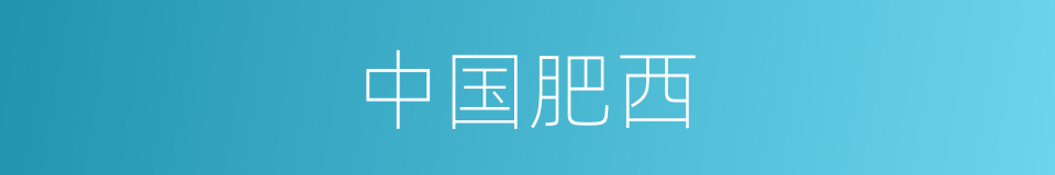 中国肥西的同义词