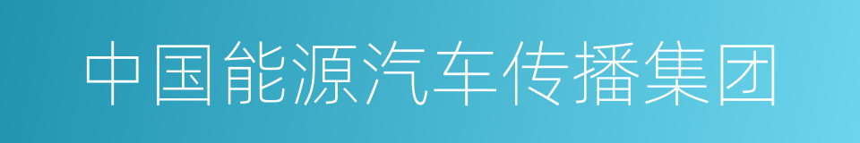 中国能源汽车传播集团的同义词