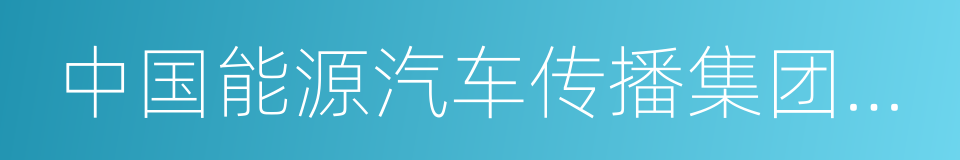 中国能源汽车传播集团有限公司的同义词