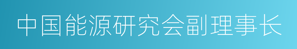 中国能源研究会副理事长的同义词