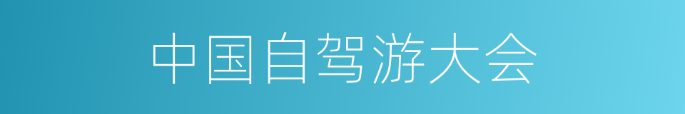 中国自驾游大会的同义词