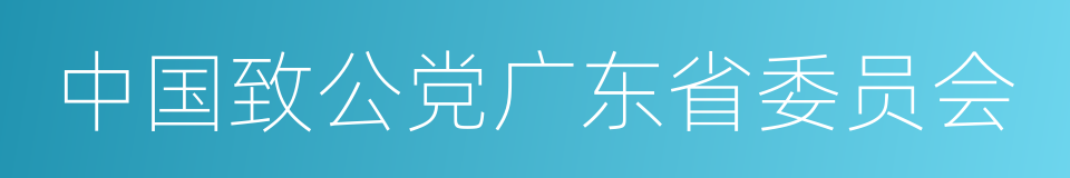 中国致公党广东省委员会的同义词