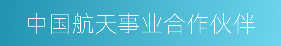 中国航天事业合作伙伴的同义词