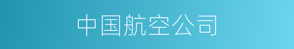 中国航空公司的同义词
