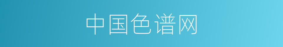 中国色谱网的同义词