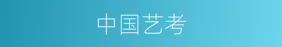 中国艺考的同义词